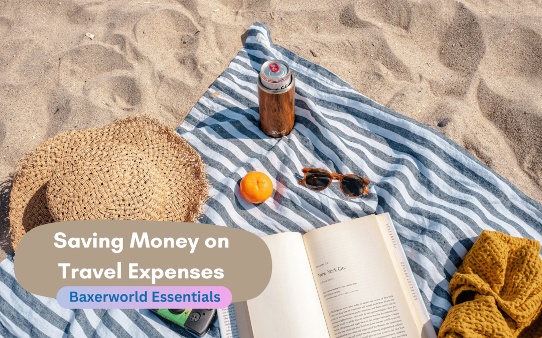 Blog Image - Travel Expenses